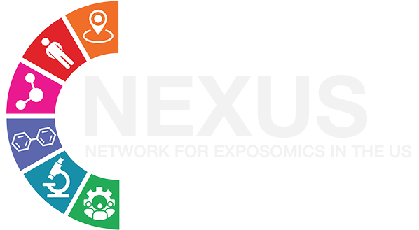 Logo in dark mode