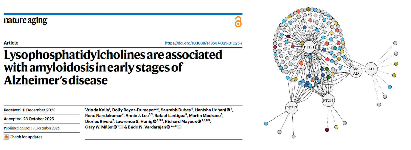 Dr Miller&rsquo;s recent work published in Nature: &ldquo;Lysophosphatidylcholines are associated with amyloidosis in early stages of Alzheimer&rsquo;s disease&rdquo;