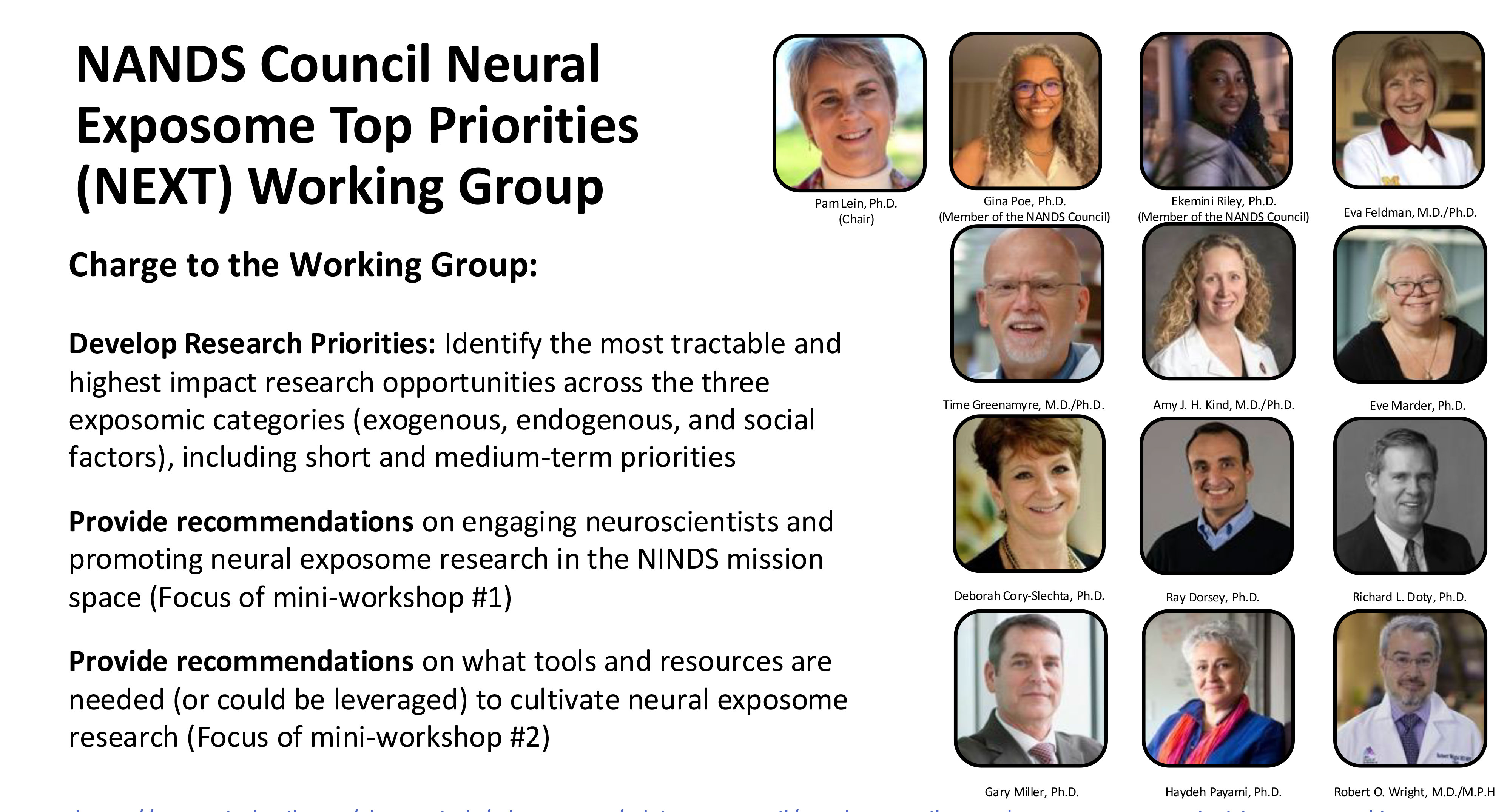 The NANDS Council Neural Exposome Top (NEXT) Priorities Working Group Report by The National Advisory Neurological Disorders and Stroke Council.