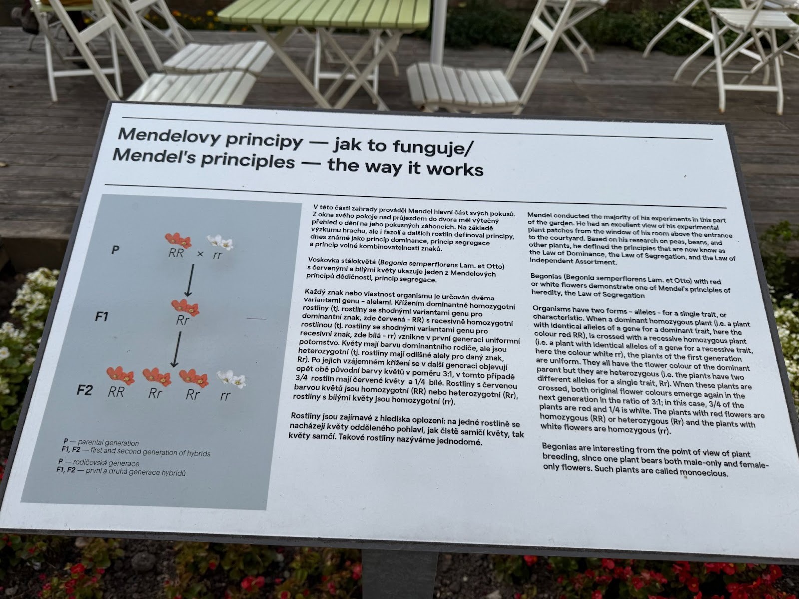Mendel’s Principles: one of the ways that it works.